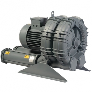 Воздуходувка вихревая FPZ SCL K10-TD110